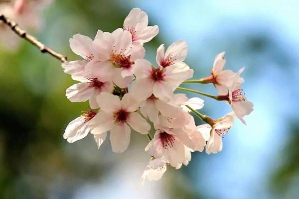 不要聽外界的聲音。堅持運動健身,保持正常形體,多讀書的你真美 不要聽外界的聲音。堅持運動健身,保持正常形體,多讀書的你真美