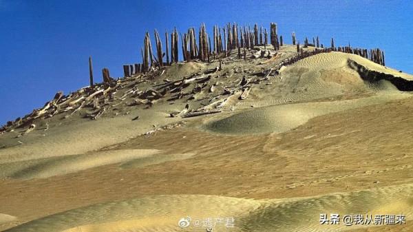 如果能穿越到唐朝的新疆…… 如果能穿越到唐朝的新疆……