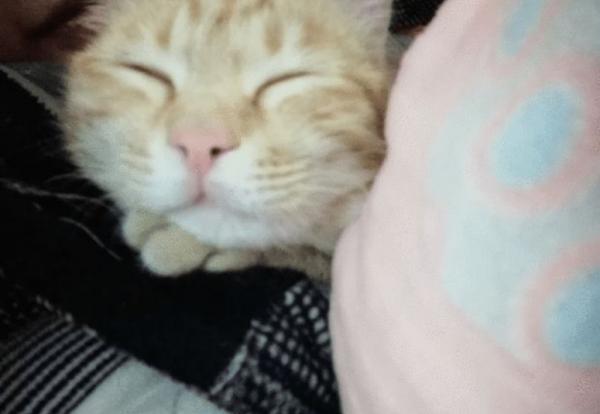 宿管突擊檢查學生宿舍,“違規用品”層出不窮,阿姨直呼防不勝防 宿管突擊檢查學生宿舍,“違規用品”層出不窮,阿姨直呼防不勝防