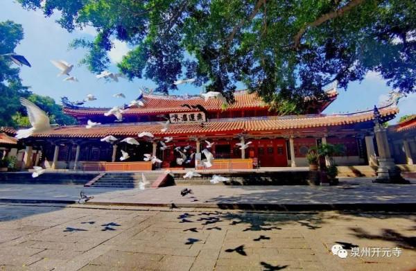 福建文旅釋出 | 今天起還有哪些精彩的國慶活動？一起來看看