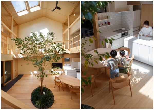 日本一家五口的90㎡小家，屋內開天窗種榕樹，去客廳化生活太愜意