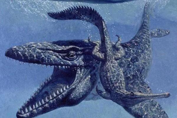 滄龍號稱遠古海洋霸主，長達17.3米重16噸