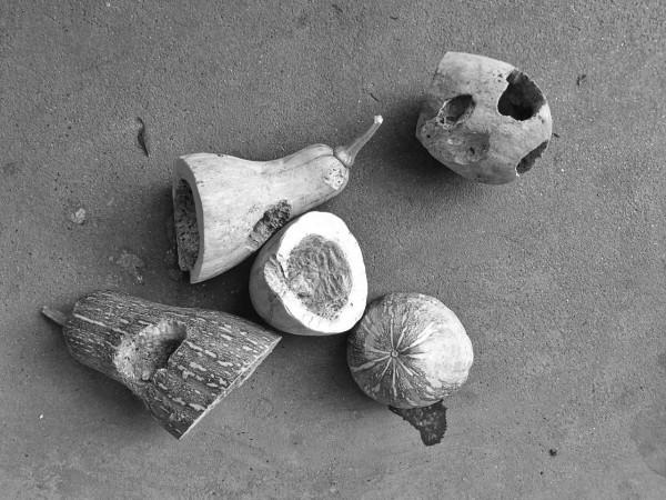 從塵中之光發出的咚咚聲 從塵中之光發出的咚咚聲