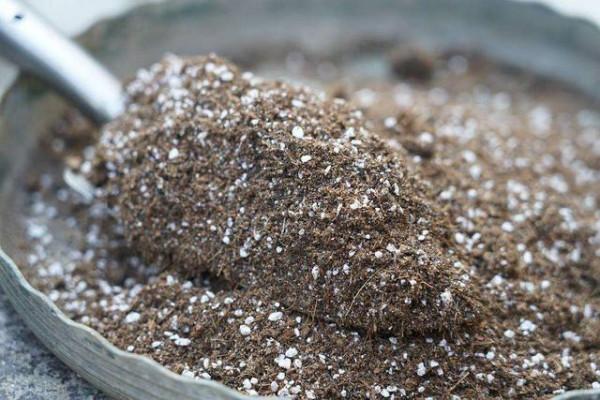 養花就用這4種“高磷肥”,不光生長旺盛,枝葉翠綠,開花更有勁 養花就用這4種“高磷肥”,不光生長旺盛,枝葉翠綠,開花更有勁