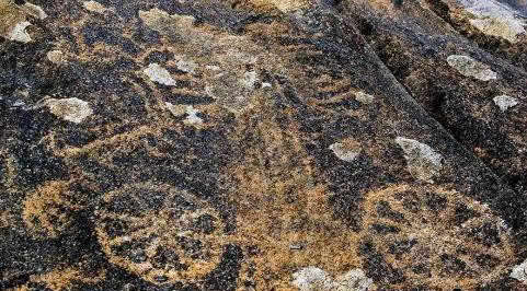 輪子軼事——關於輪子的幻想與現實 輪子軼事——關於輪子的幻想與現實