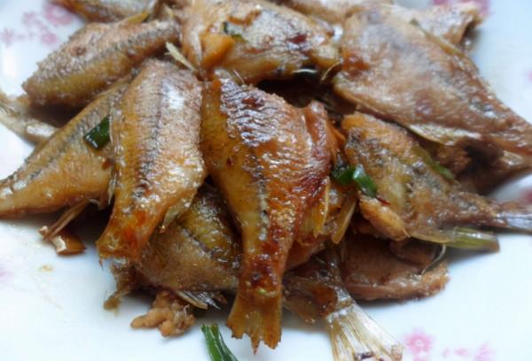 被誤解很深的魚:長得像鰟鮍,個大如鯽魚,卻常被當小雜魚扔掉 被誤解很深的魚:長得像鰟鮍,個大如鯽魚,卻常被當小雜魚扔掉