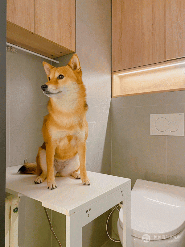 小暗衛“一生黑”?改造只需3步,真香 小暗衛“一生黑”?改造只需3步,真香