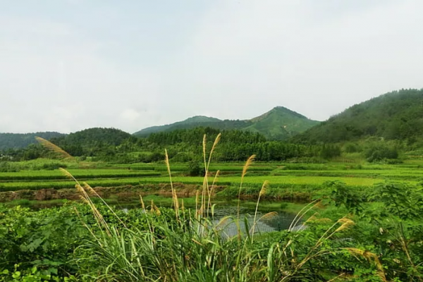 甲友心聲——24歲遇甲癌 甲友心聲——24歲遇甲癌