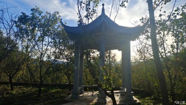 五百年盤龍古松.與秦Plus Dmi探訪千年幽幽古剎！