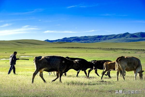 十月一去哪裡旅遊好玩(下) 十月一去哪裡旅遊好玩(下)