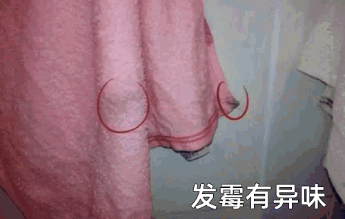 春節大掃除&OpenCurlyDoubleQuote;斷舍離&rdquo;作戰計劃，10件必扔清單，你家有嗎？