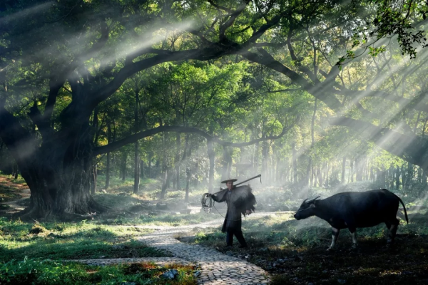 10個藏在深山不為人知的古村落，竟是絕美的“世外桃源”