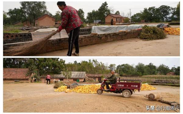 實拍河南農村地坑院,大雨過後四處有陷阱,看人們生活成啥樣 實拍河南農村地坑院,大雨過後四處有陷阱,看人們生活成啥樣
