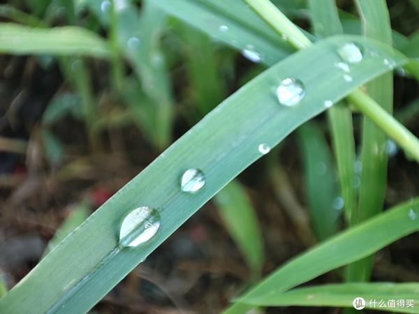 最大驚喜竟是拍照——紅米K40三個月使用感受 最大驚喜竟是拍照——紅米K40三個月使用感受