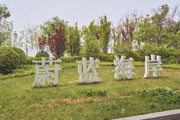 【X自駕】開寶馬5系插混，打卡秦皇島海岸，帆船、動漫任你玩