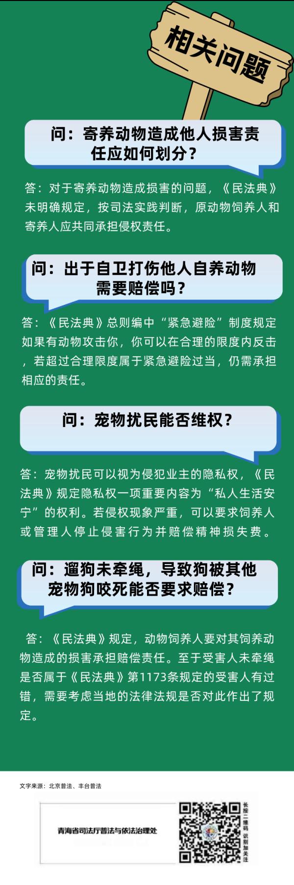 流浪貓狗傷人，責任由誰承擔？