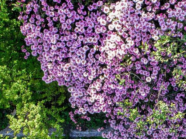 外表堅強,卻又懂得適當示弱的星座,能屈能伸,活得不委屈自己 外表堅強,卻又懂得適當示弱的星座,能屈能伸,活得不委屈自己