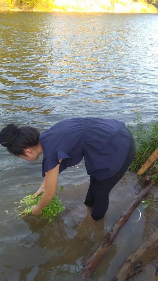 寮國田園是多麼的美