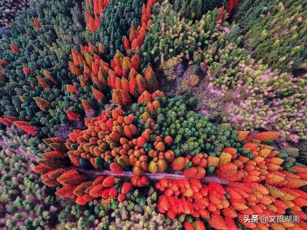 湖南這些“寶藏”賞秋地,你去過幾個? 湖南這些“寶藏”賞秋地,你去過幾個?