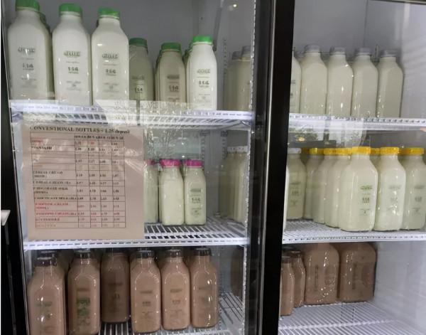 BC省秋冬季8個絕佳景點推薦 好玩到藏也藏不住