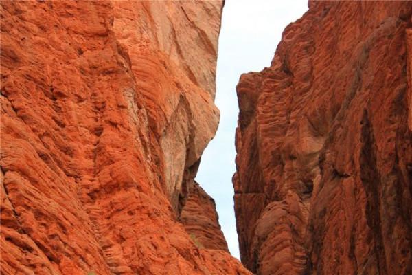 你想要來的新疆2022年是這樣的