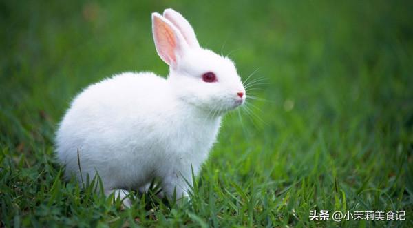 明日霜降,別忘“補嘴空”,這4種肉,營養不燥又解饞,平穩入冬 明日霜降,別忘“補嘴空”,這4種肉,營養不燥又解饞,平穩入冬