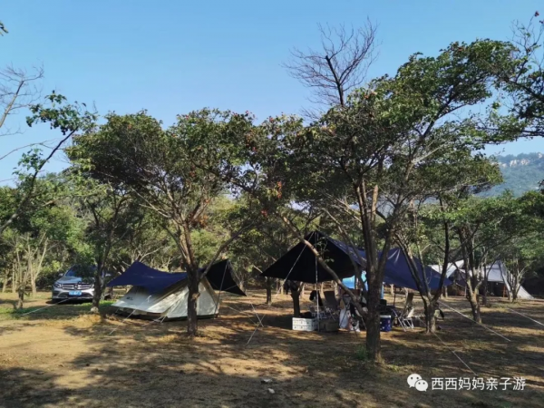 你知道露營新手 應該如何選擇營地嗎？愛上露營