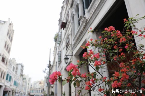 不能出去旅行的日子，就只能看看以前的照片了