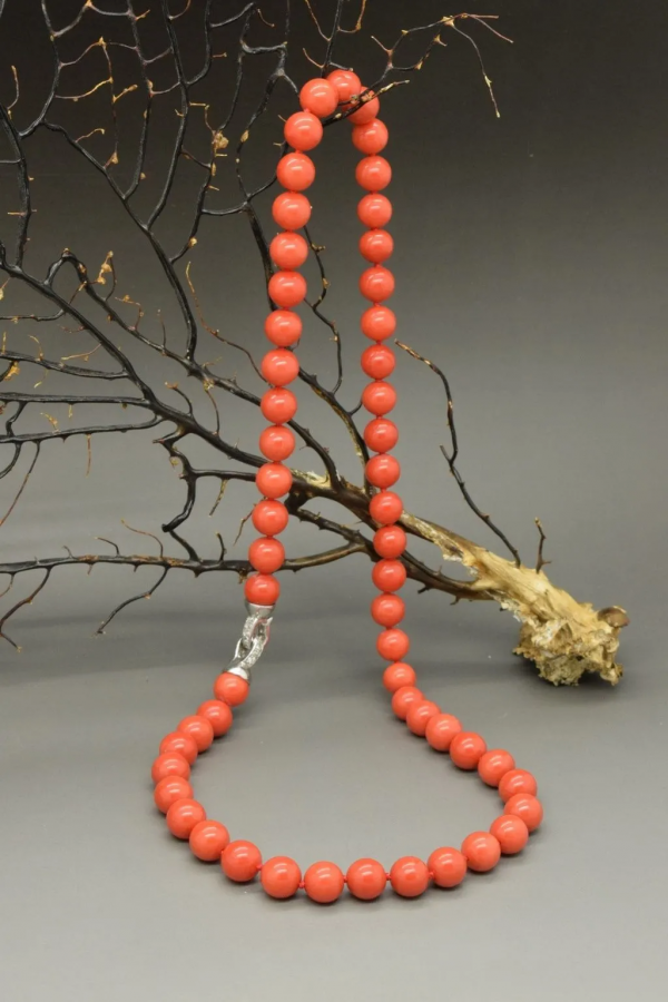 大海深處的寶石——珊瑚