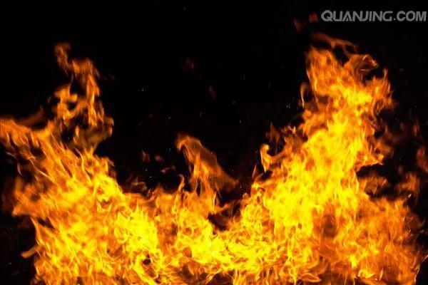 外星生命水熊蟲