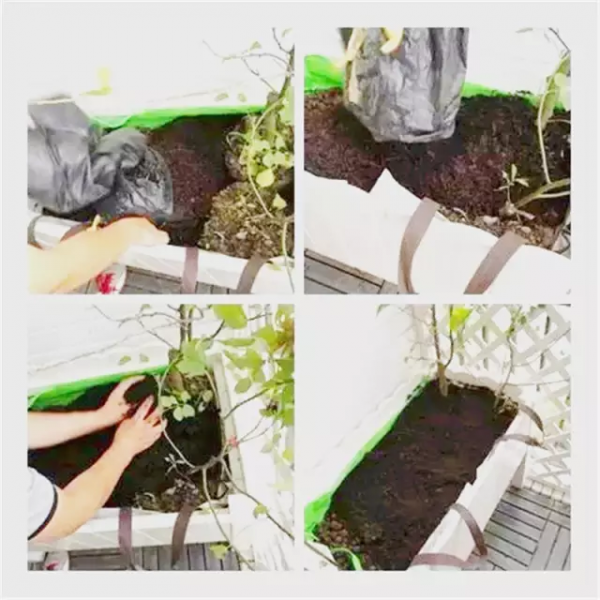 用2000元,爆改一個陽臺花園,你也可以做到 用2000元,爆改一個陽臺花園,你也可以做到