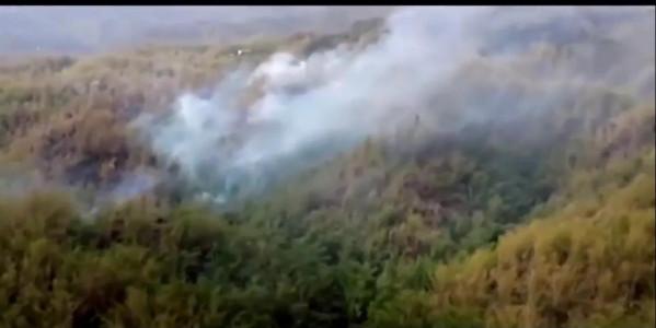 安徽驚現巨蟒遭雷擊落真相，是否與傳聞一樣是為渡劫所至？