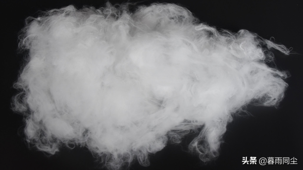 棉花為什麼會讓人在荒野中喪命？登山、徒步要避免&OpenCurlyDoubleQuote;死亡內衣&rdquo;