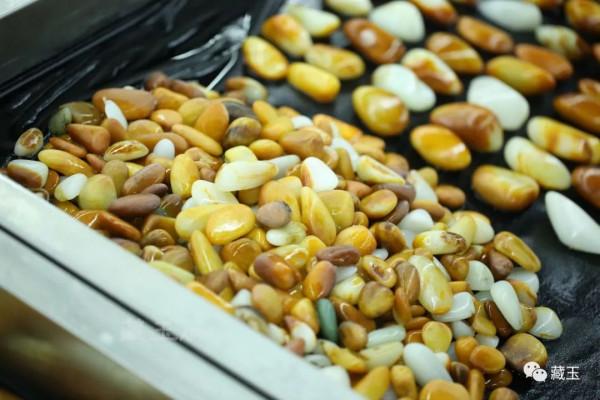 120萬的沁料長什麼樣？