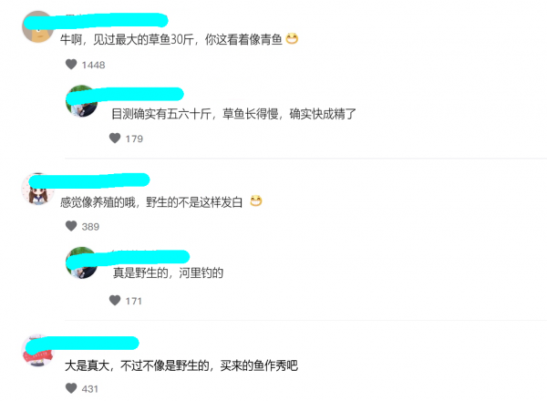 山東釣魚人野河釣起“草魚王”，1米多長，釣魚人：像頭小肥豬