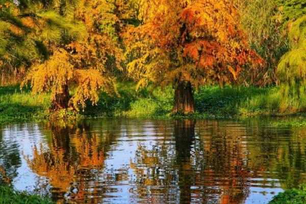 豐富多彩的浪漫“香”遇,正在青浦等你哦~跟著特色線路遊起來 豐富多彩的浪漫“香”遇,正在青浦等你哦~跟著特色線路遊起來