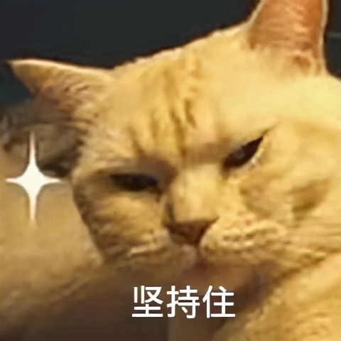 虛胖&plus;肉鬆的減肥思路分析