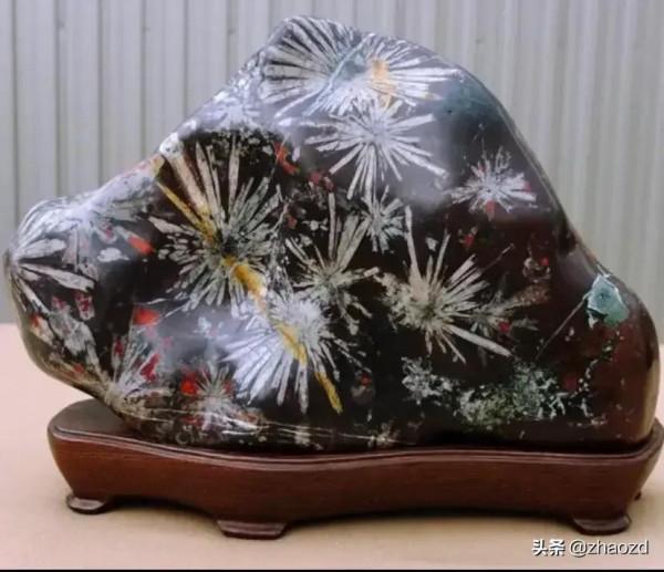 奇石盛開的花朵鑑賞