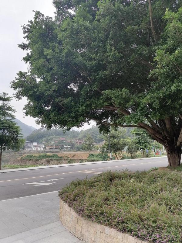 黃金溝風景區外面的一個小鎮 黃金溝風景區外面的一個小鎮