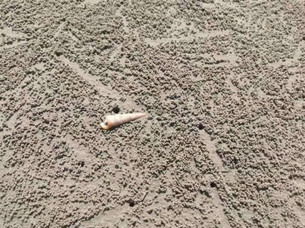 防城港一日遊：我和大劉酸了，想在這邊買房