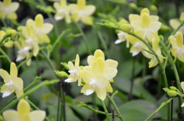 討好型人格的雙魚座,最喜歡說“好好好”,感覺好欺負,卻被反殺 討好型人格的雙魚座,最喜歡說“好好好”,感覺好欺負,卻被反殺