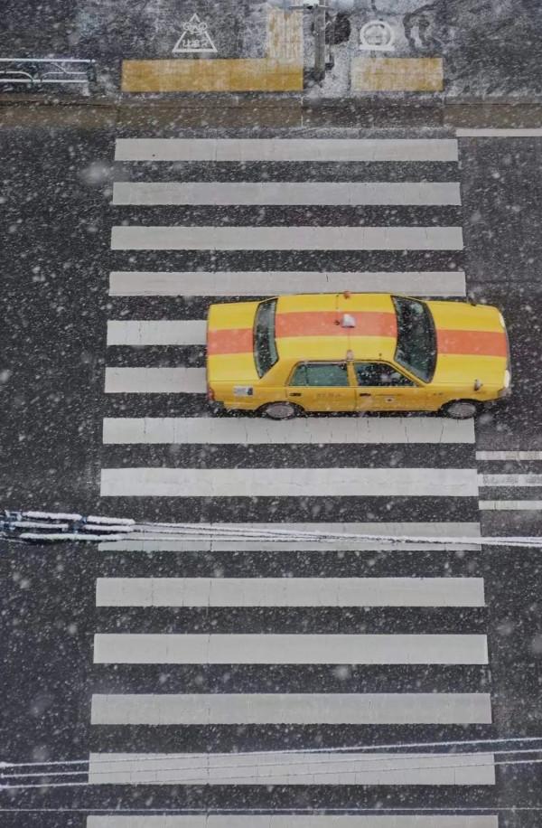 2022東京初雪,這個近45年來最冷的冬天,美翻了 2022東京初雪,這個近45年來最冷的冬天,美翻了