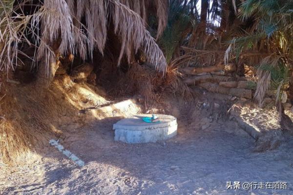 沙漠牧民的無奈:有家不住非要不斷遷徙,不認國籍不守法律 沙漠牧民的無奈:有家不住非要不斷遷徙,不認國籍不守法律