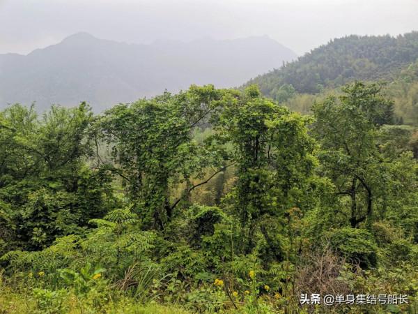 俗稱的皖南小川藏線你去過嗎？這兒的風景真是一絕