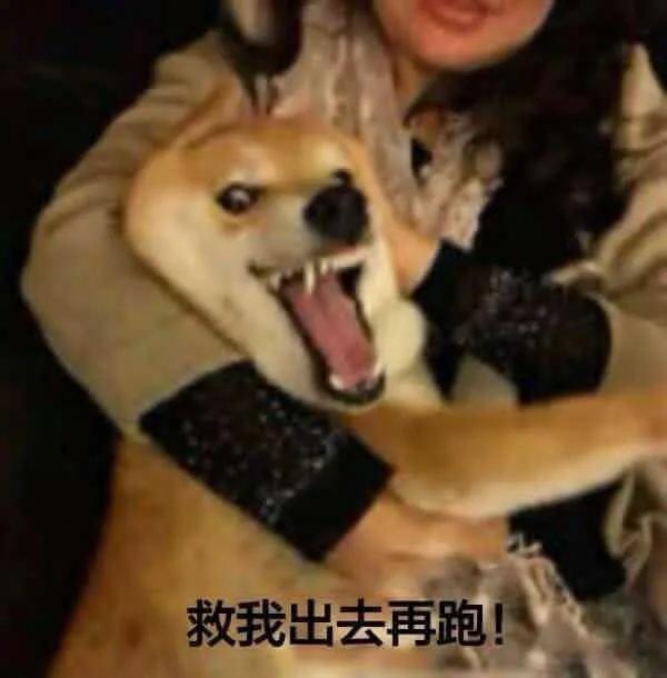 早知道，還得是原道