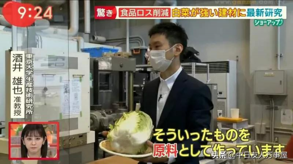 用白菜蓋房子，當作建材是混凝土的４倍，不但環保還可以拿來吃？