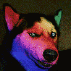 9個珍藏已久的黑科技網站,實用又強大,每一個都震撼無比 9個珍藏已久的黑科技網站,實用又強大,每一個都震撼無比