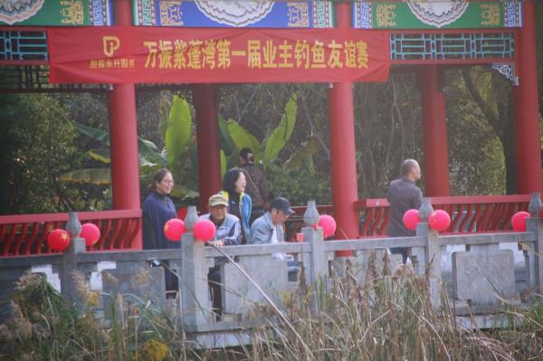 悠然閒居，垂釣為樂，萬振紫蓬灣第一屆業主釣魚友誼賽圓滿落幕