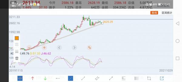 白灑股票後市發展2021年10月30日