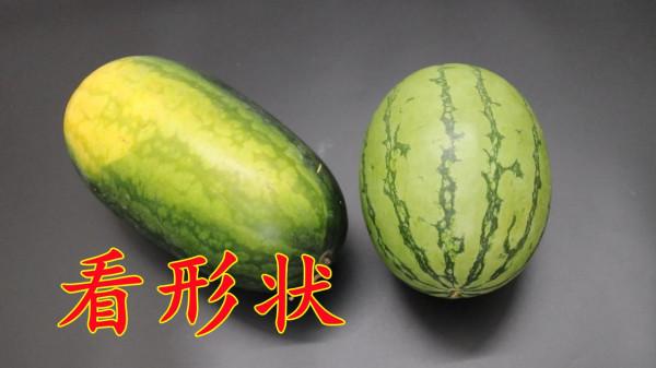 我買西瓜的時候，就看這幾點，西瓜個個又甜又多汁，學學